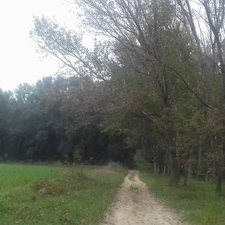 Hospital Del Temple * Boquineni