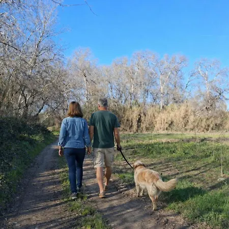Casa di campagna Hospital Del Temple Boquineni