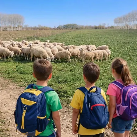 Casa di campagna Hospital Del Temple *