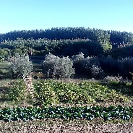 Kır Evi Hospital Del Temple Boquineni