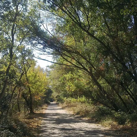 Landhuis Hospital Del Temple