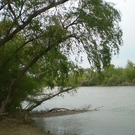 Hospital Del Temple *