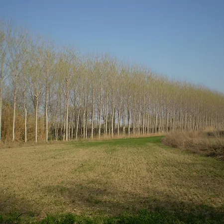 Hospital Del Temple Landhuis Boquineni