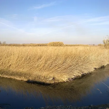 Hospital Del Temple *