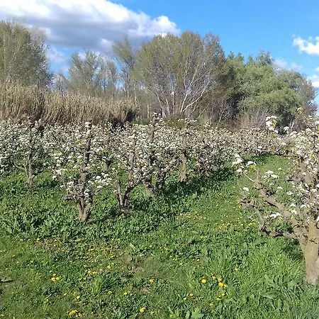 Landhuis Hospital Del Temple *