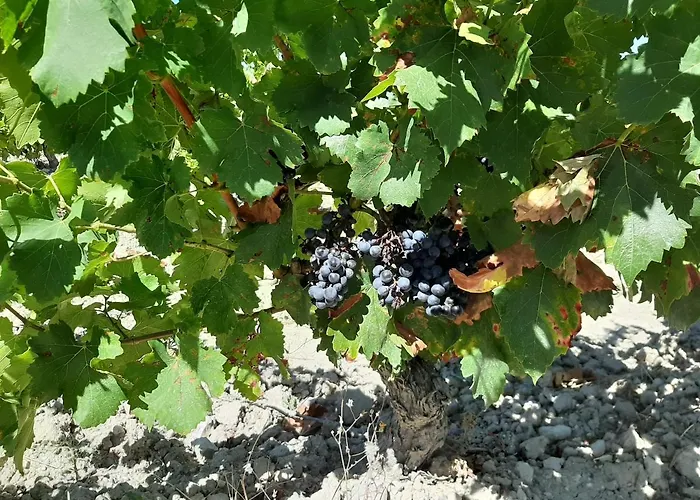 Casa di campagna Hospital Del Temple