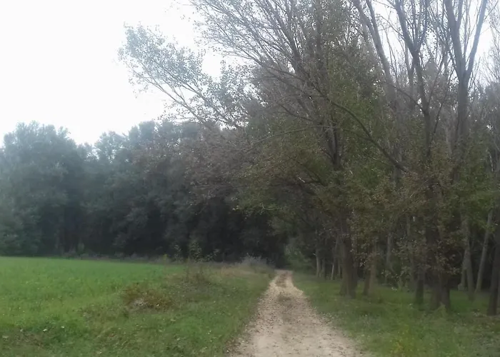 Hospital Del Temple * Boquineni