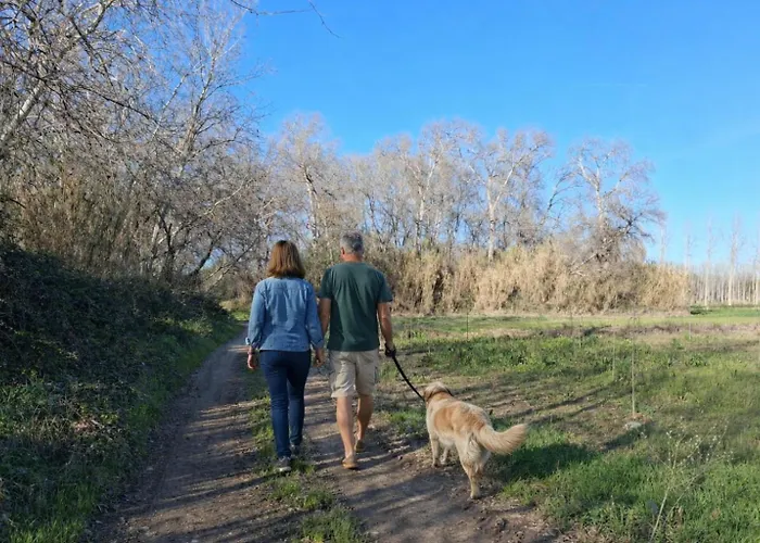 Casa di campagna Hospital Del Temple Boquineni