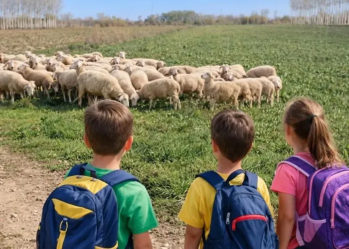 Casa di campagna Hospital Del Temple *