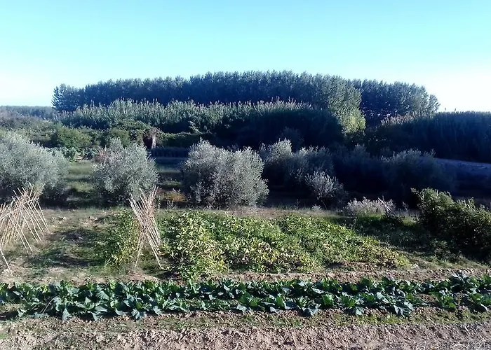 Casa di campagna Hospital Del Temple Boquineni
