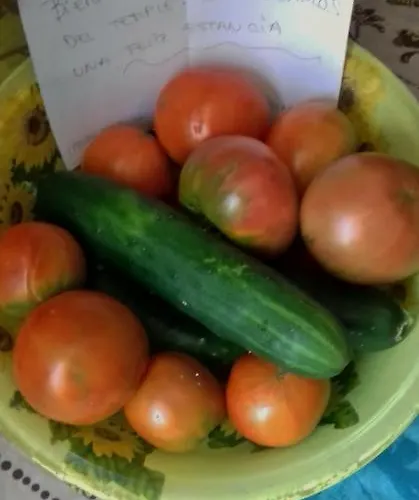 Casa di campagna Hospital Del Temple *