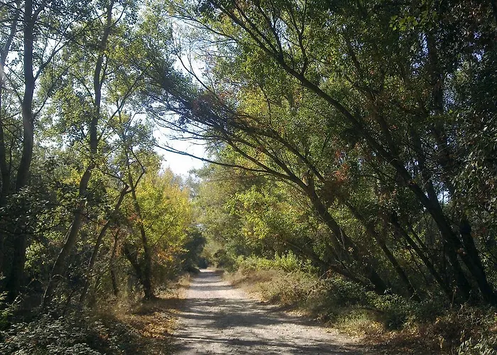 Casa di campagna Hospital Del Temple