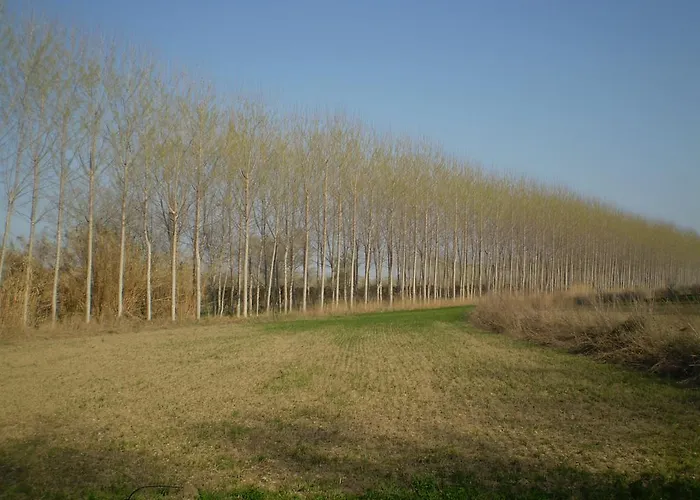 Hospital Del Temple Casa de Campo Boquineni