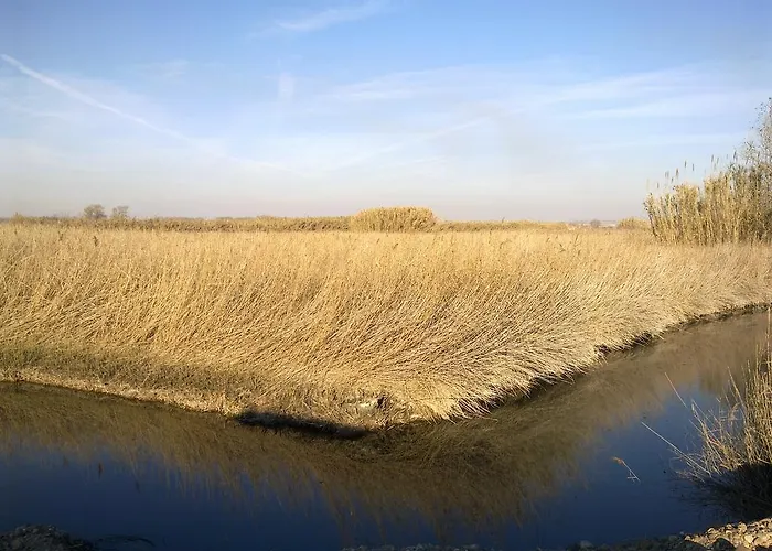 Hospital Del Temple *