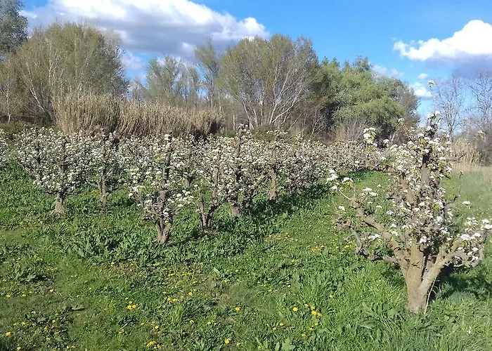 Casa di campagna Hospital Del Temple *